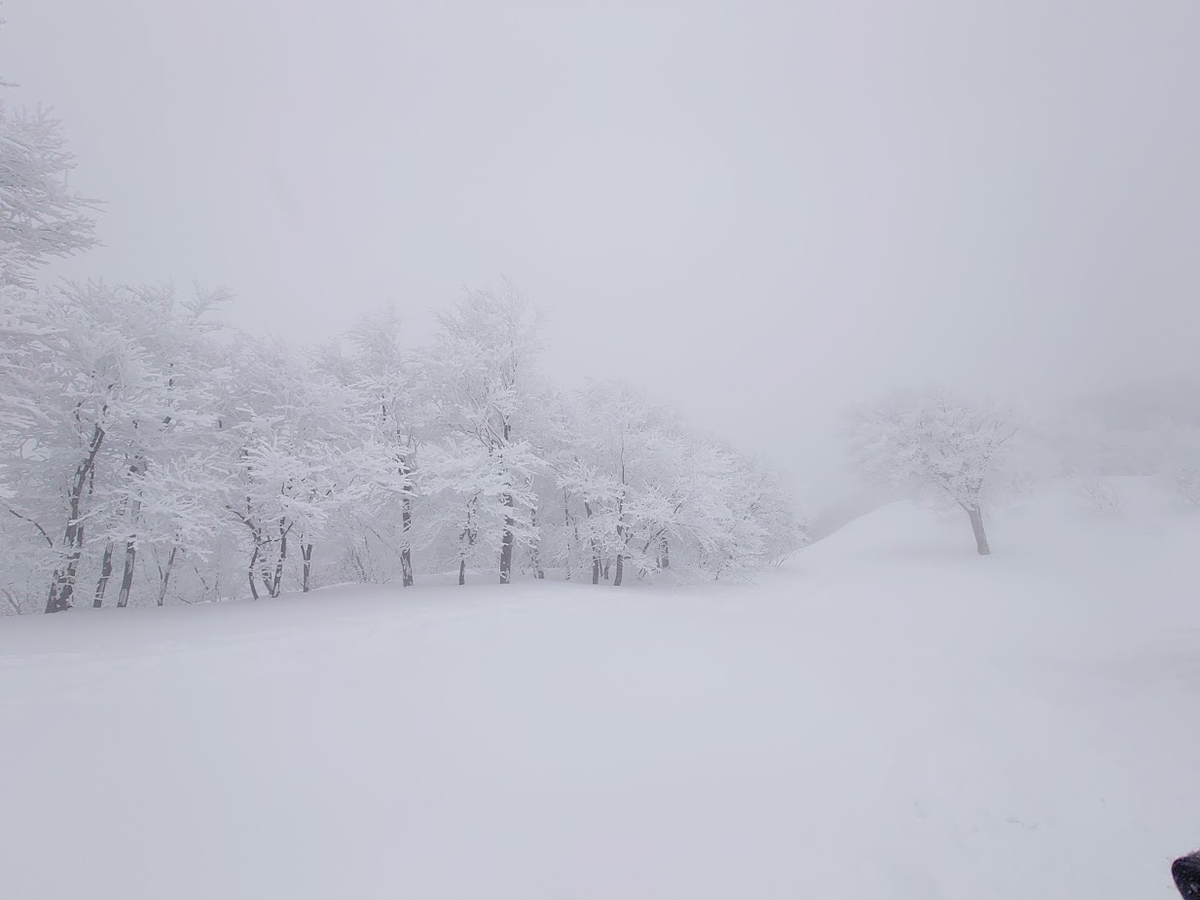 f:id:Li_veil_takeda:20220331231230p:plain