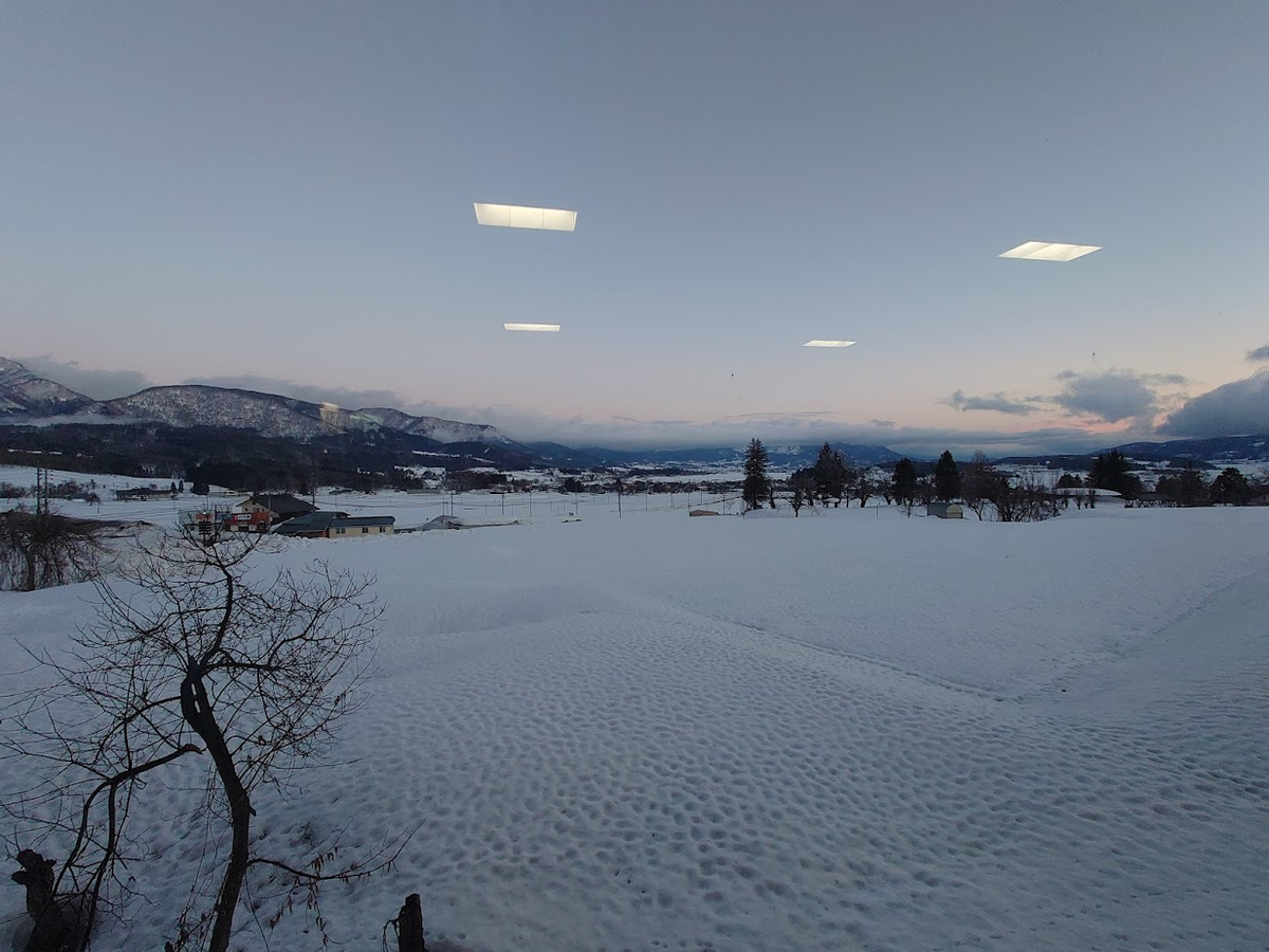 f:id:Li_veil_takeda:20220331234430p:plain