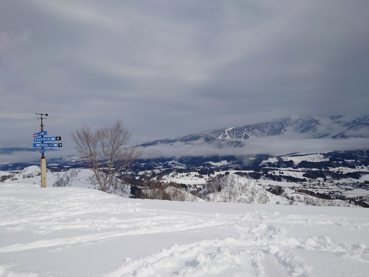 f:id:Li_veil_takeda:20220331234547p:plain