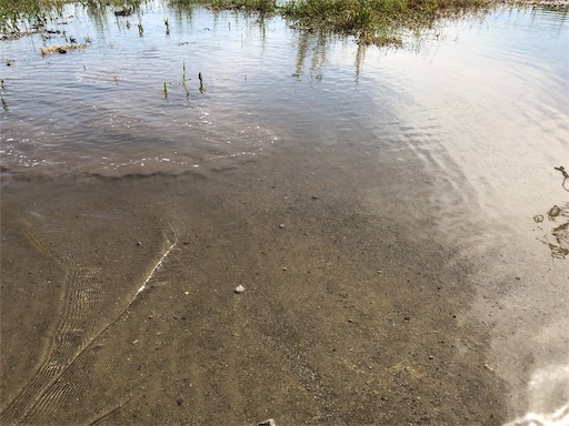 f:id:Library7:20190610103720j:image