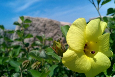 f:id:Licoshe:20110808150749j:image