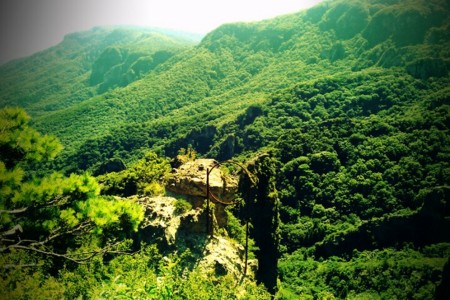 f:id:Licoshe:20110808150754j:image