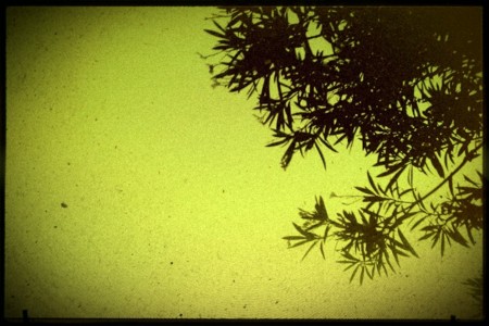 f:id:Licoshe:20110911201948j:image
