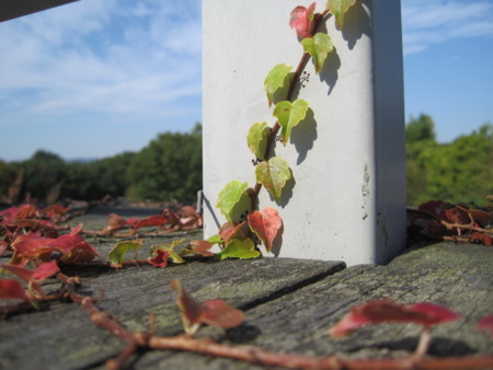 f:id:Licoshe:20111029110238j:image