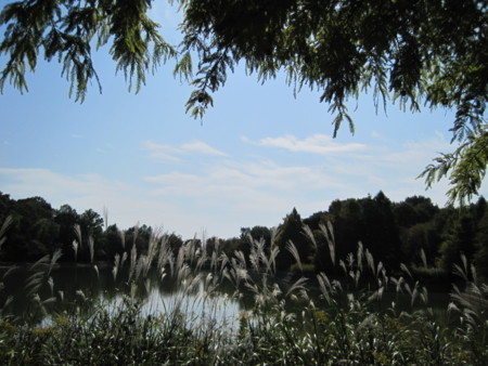 f:id:Licoshe:20111029111714j:image