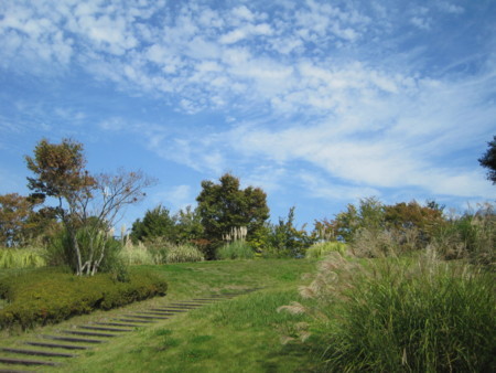 f:id:Licoshe:20111029113413j:image