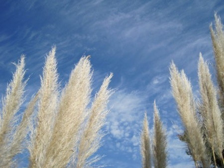 f:id:Licoshe:20111029113718j:image