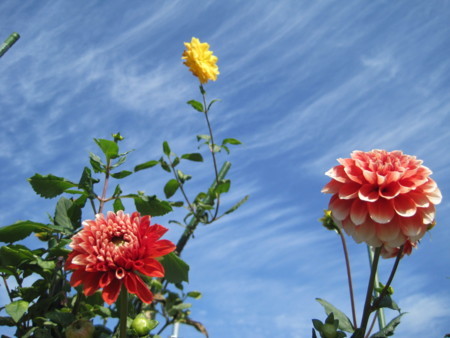 f:id:Licoshe:20111029114258j:image