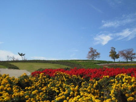 f:id:Licoshe:20111029115638j:image