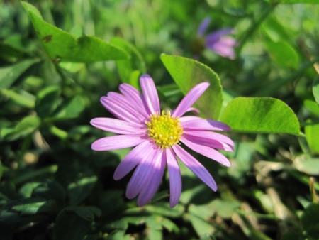 f:id:Licoshe:20111029120141j:image