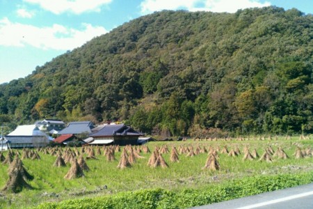 f:id:Licoshe:20111029185306j:image