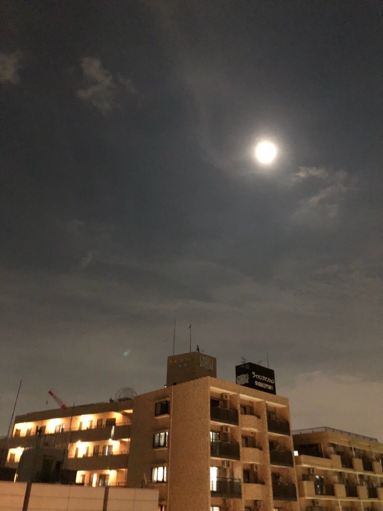 f:id:Licoshe:20180924221602j:image f:id:Licoshe:20180924221602j:image