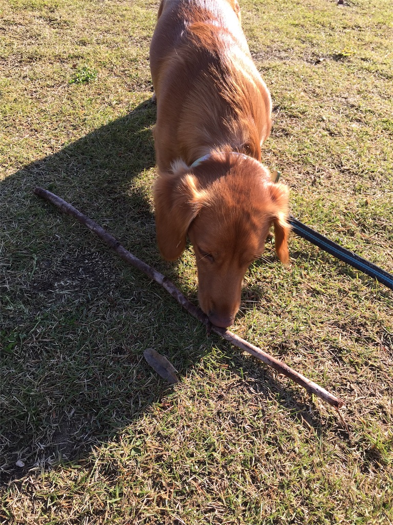 f:id:Lien0927:20171117113733j:image