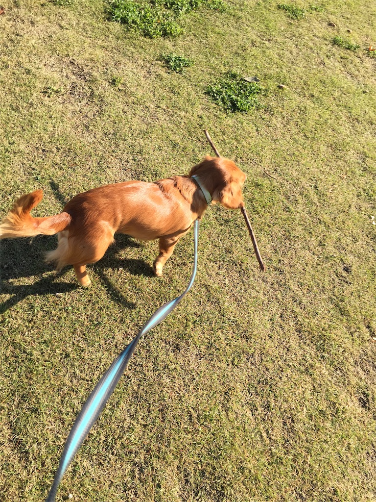 f:id:Lien0927:20171117113924j:image f:id:Lien0927:20171117113924j:image