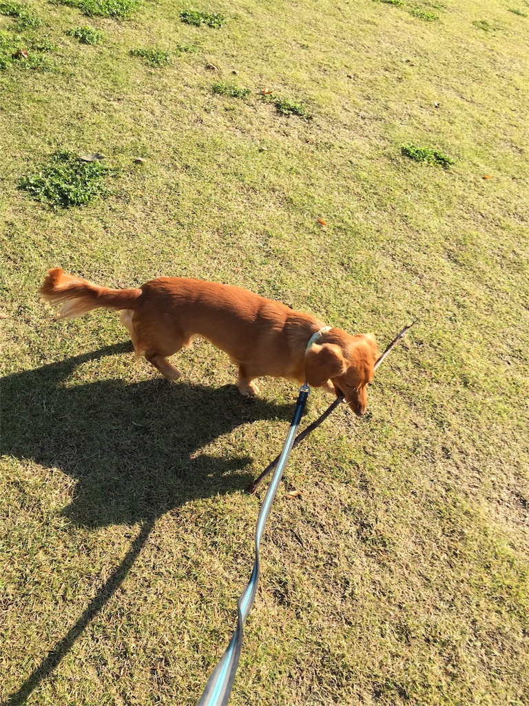 f:id:Lien0927:20171117113928j:image f:id:Lien0927:20171117113928j:image