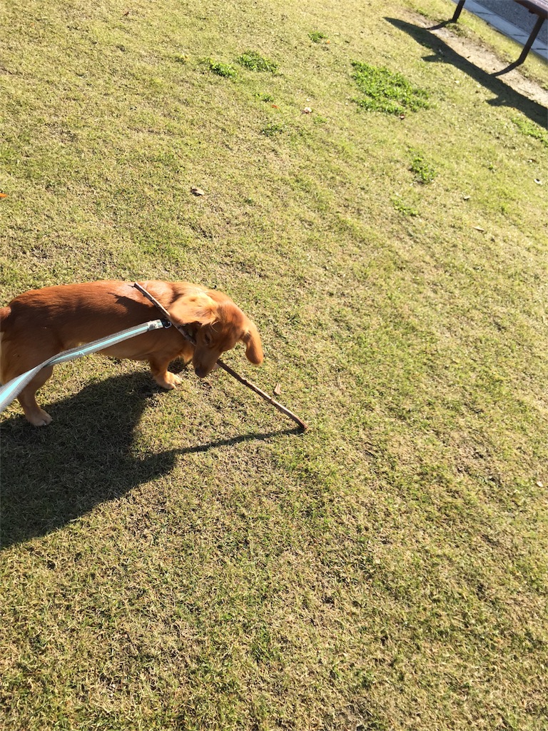 f:id:Lien0927:20171117114055j:image f:id:Lien0927:20171117114055j:image