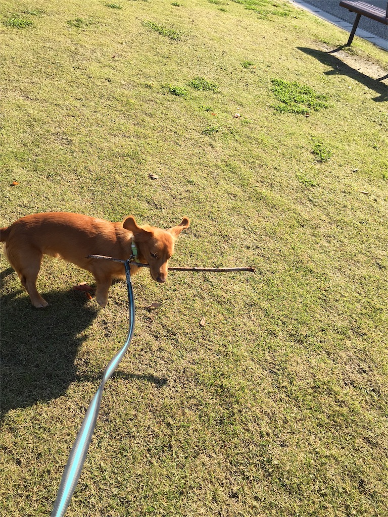 f:id:Lien0927:20171117114103j:image f:id:Lien0927:20171117114103j:image