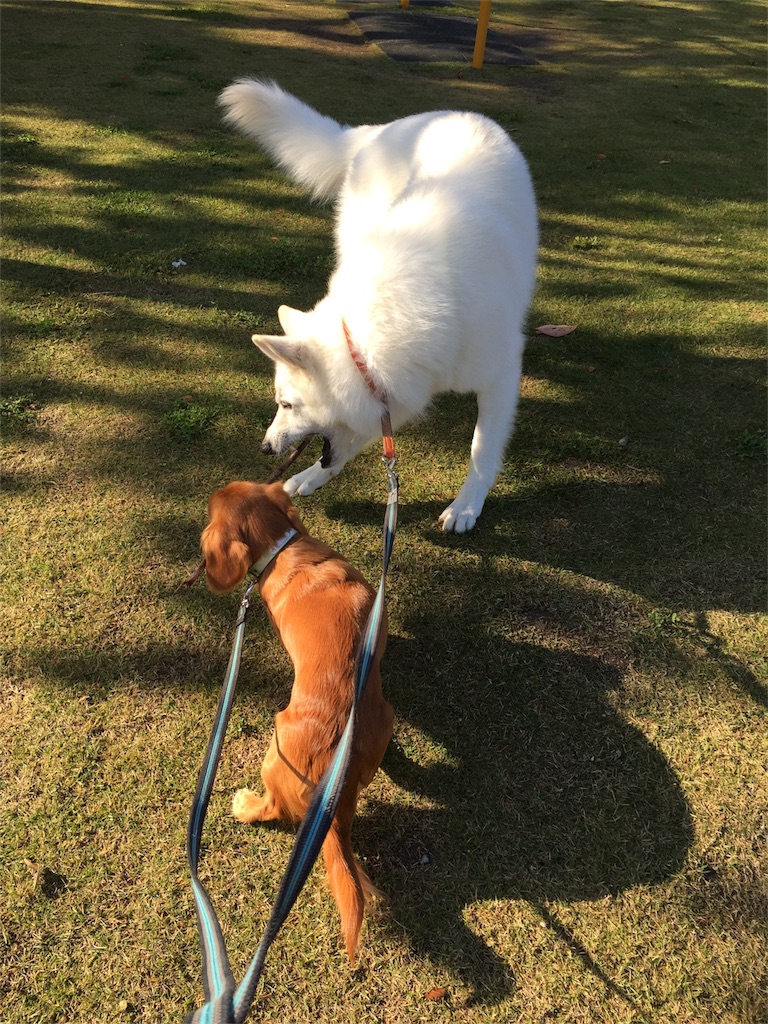 f:id:Lien0927:20171117114255j:image f:id:Lien0927:20171117114255j:image