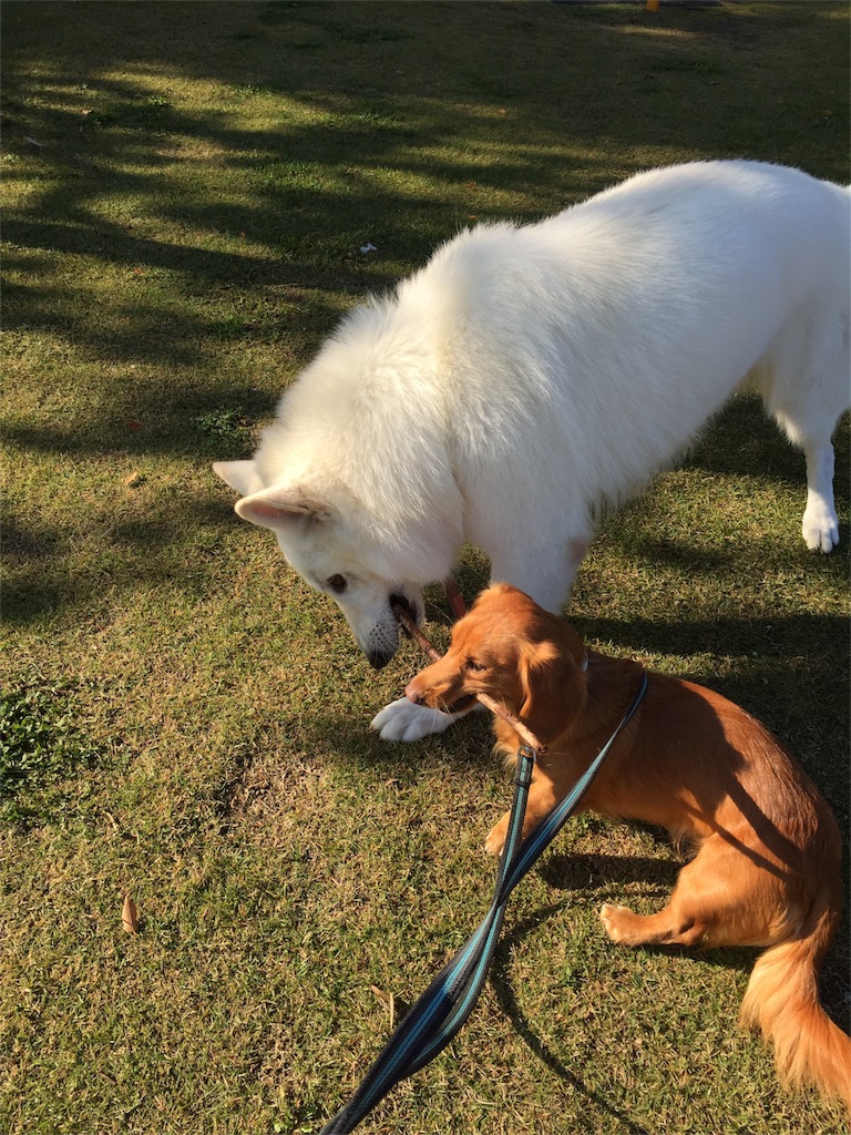 f:id:Lien0927:20171117114346j:image f:id:Lien0927:20171117114346j:image