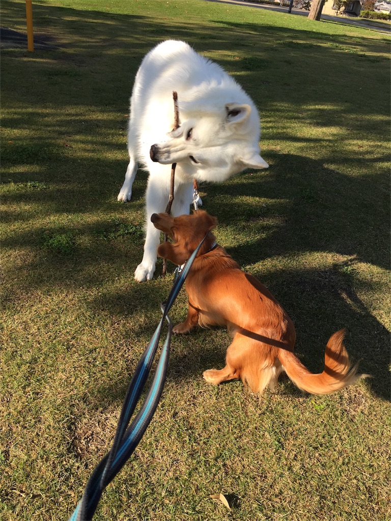 f:id:Lien0927:20171117114459j:image f:id:Lien0927:20171117114459j:image