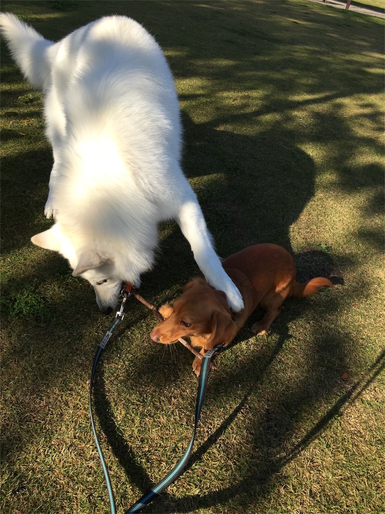 f:id:Lien0927:20171117114653j:image f:id:Lien0927:20171117114653j:image