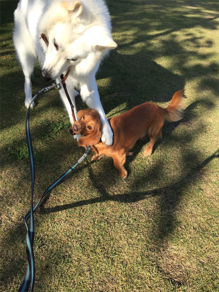 f:id:Lien0927:20171117114658j:image f:id:Lien0927:20171117114658j:image