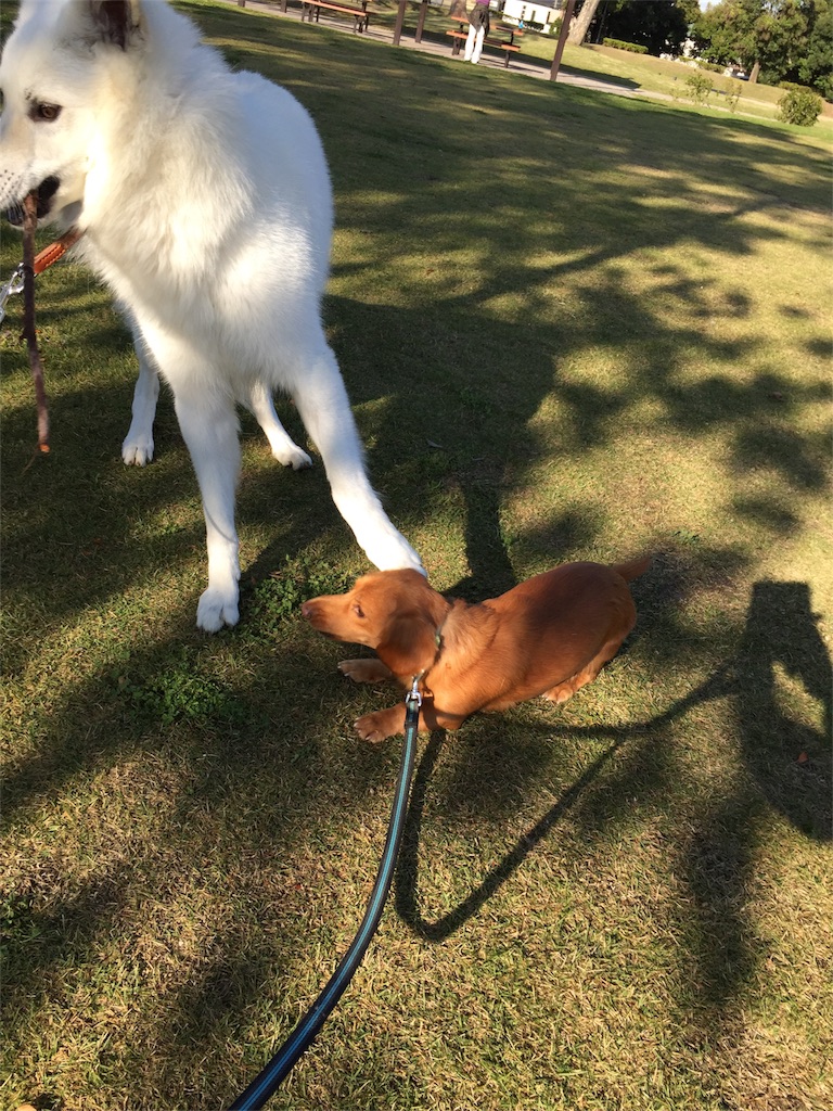 f:id:Lien0927:20171117114812j:image f:id:Lien0927:20171117114812j:image