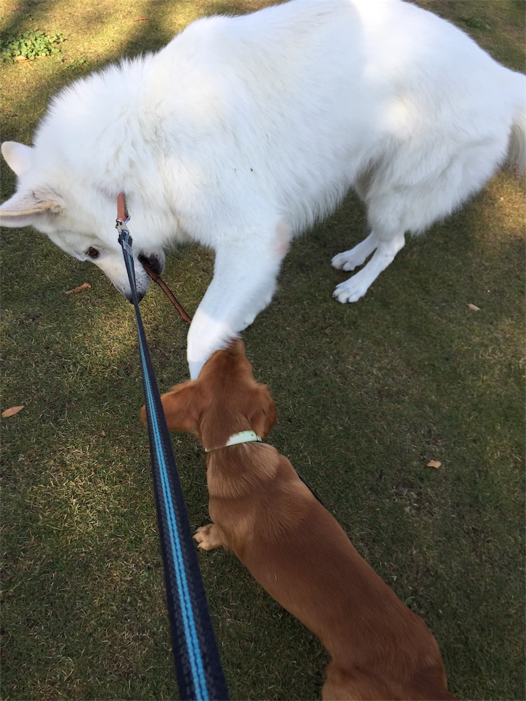 f:id:Lien0927:20171117114935j:image f:id:Lien0927:20171117114935j:image