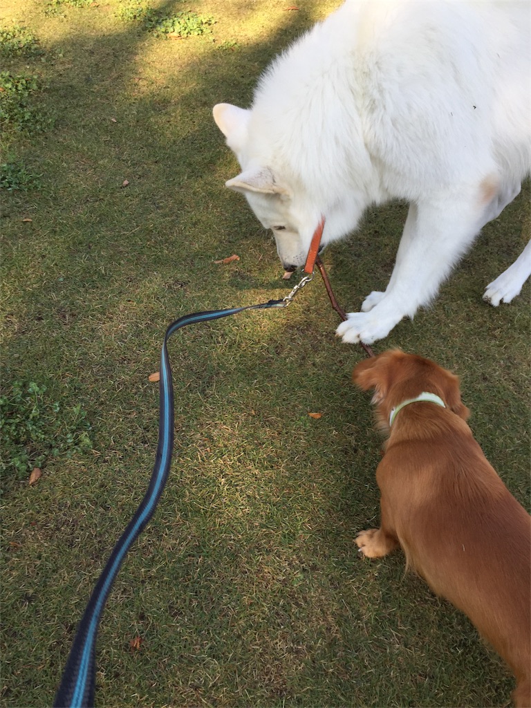 f:id:Lien0927:20171117114941j:image f:id:Lien0927:20171117114941j:image