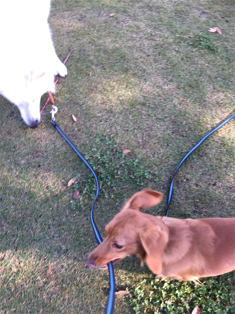 f:id:Lien0927:20171117115155j:image f:id:Lien0927:20171117115155j:image