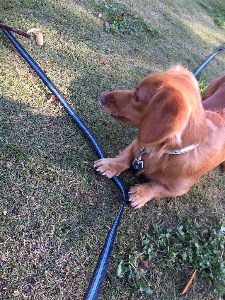 f:id:Lien0927:20171117115211j:image f:id:Lien0927:20171117115211j:image