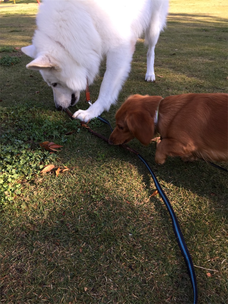 f:id:Lien0927:20171117115419j:image f:id:Lien0927:20171117115419j:image