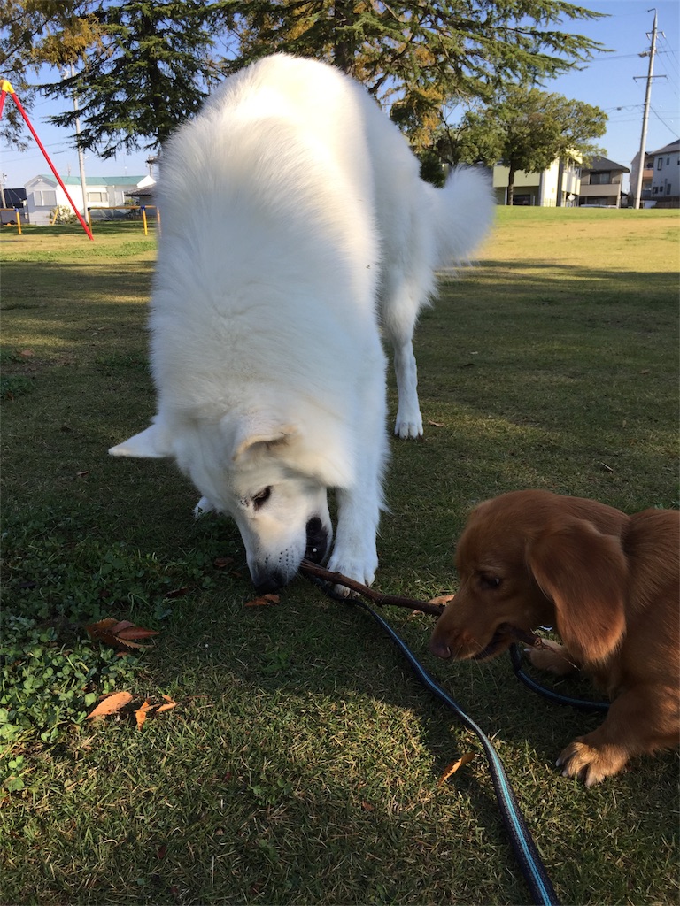 f:id:Lien0927:20171117115422j:image f:id:Lien0927:20171117115422j:image