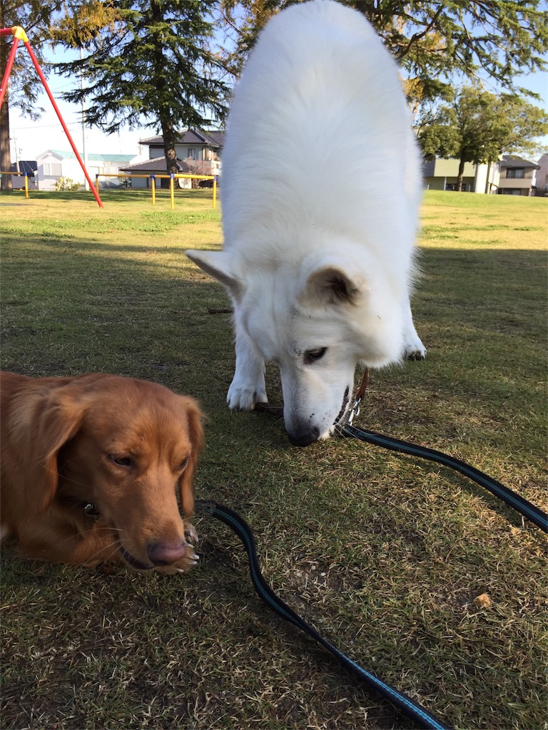 f:id:Lien0927:20171117120102j:image f:id:Lien0927:20171117120102j:image