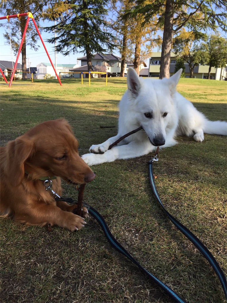 f:id:Lien0927:20171117120233j:image f:id:Lien0927:20171117120233j:image