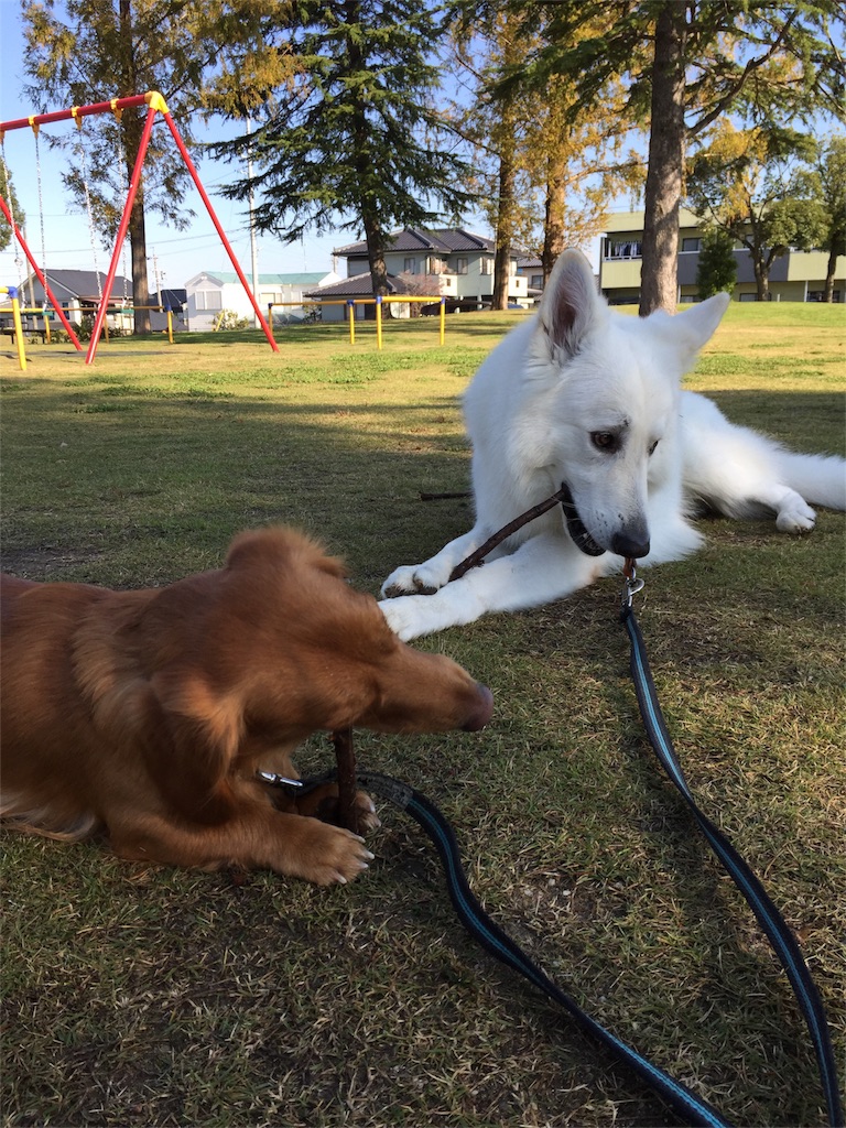 f:id:Lien0927:20171117120242j:image f:id:Lien0927:20171117120242j:image