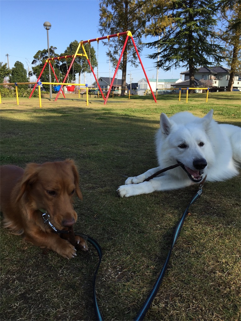 f:id:Lien0927:20171117120311j:image f:id:Lien0927:20171117120311j:image