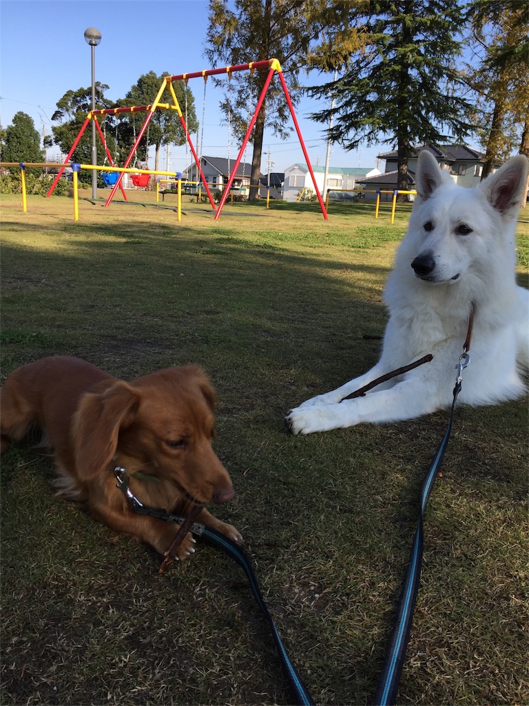 f:id:Lien0927:20171117120510j:image f:id:Lien0927:20171117120510j:image