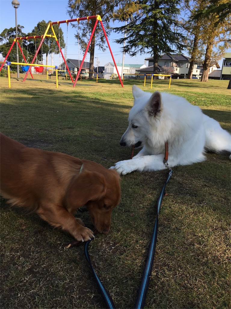 f:id:Lien0927:20171117120620j:image f:id:Lien0927:20171117120620j:image