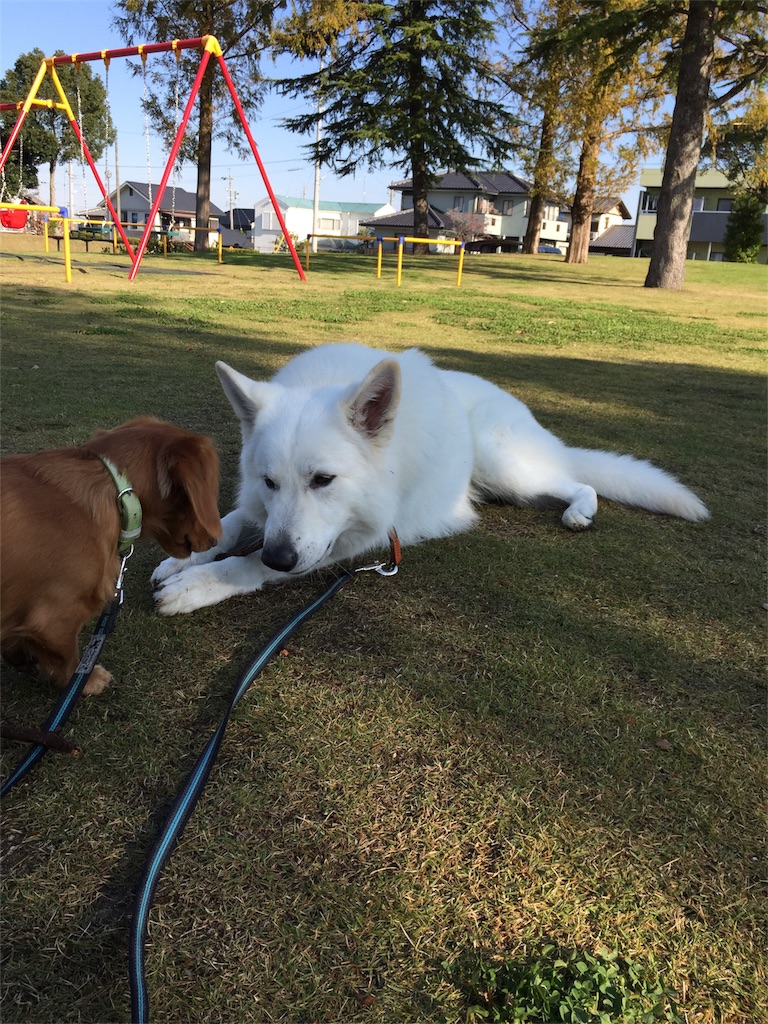 f:id:Lien0927:20171117120624j:image f:id:Lien0927:20171117120624j:image