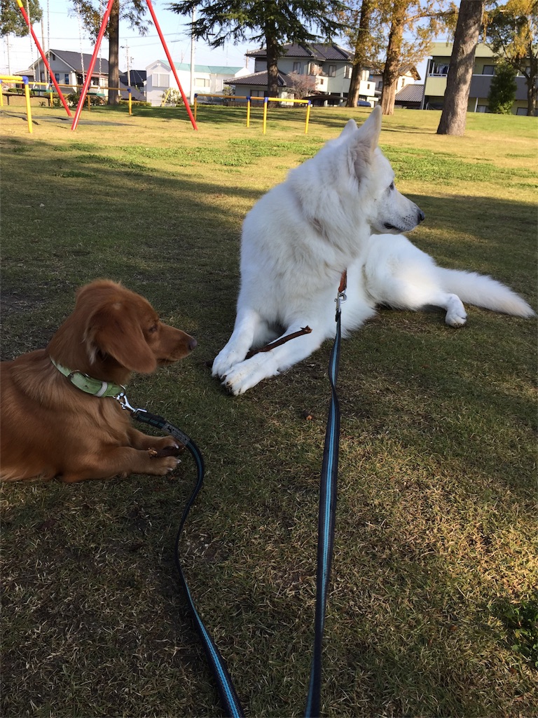 f:id:Lien0927:20171117120732j:image f:id:Lien0927:20171117120732j:image