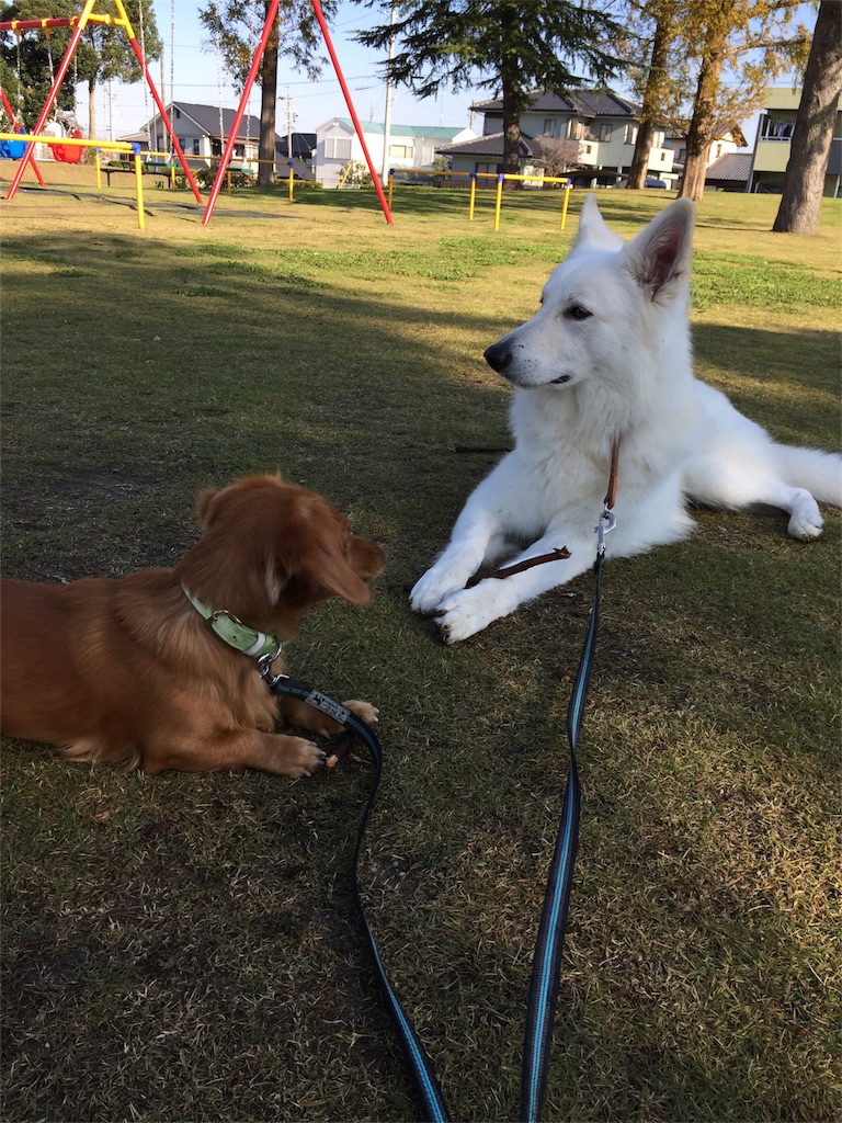 f:id:Lien0927:20171117120737j:image f:id:Lien0927:20171117120737j:image