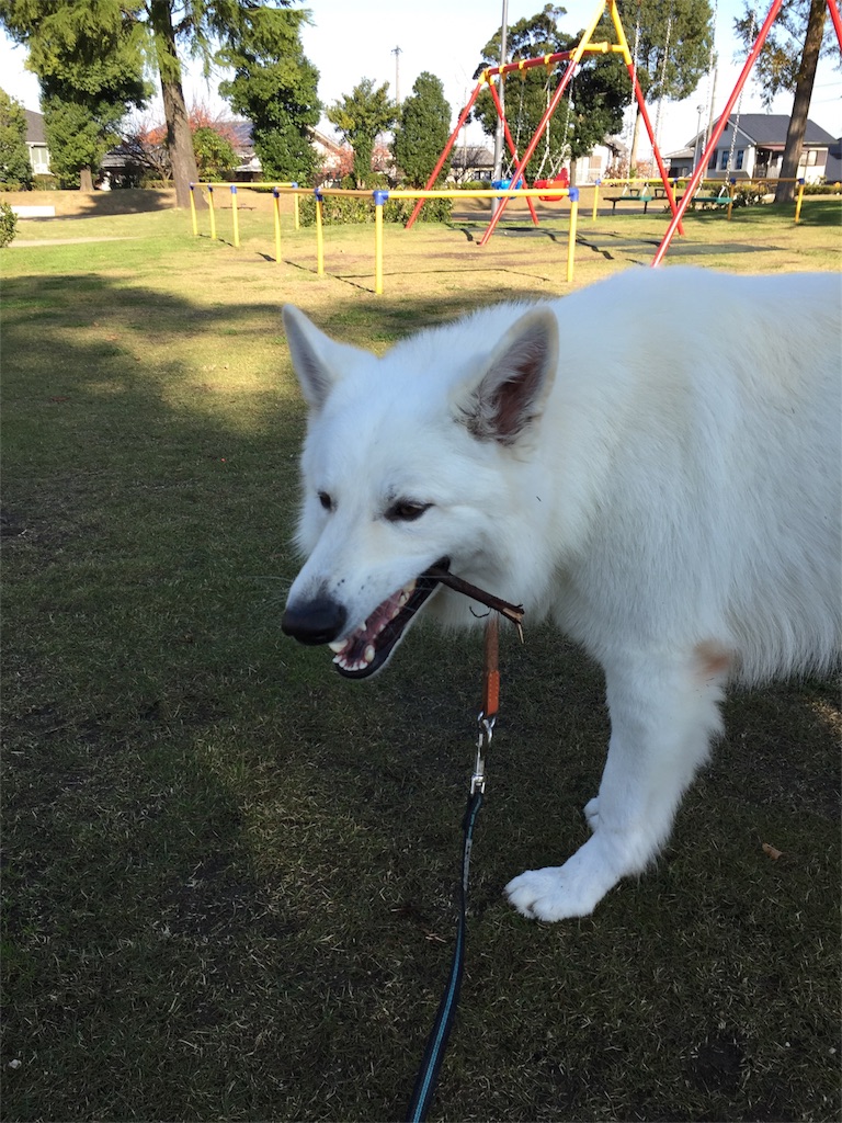 f:id:Lien0927:20171117120829j:image f:id:Lien0927:20171117120829j:image