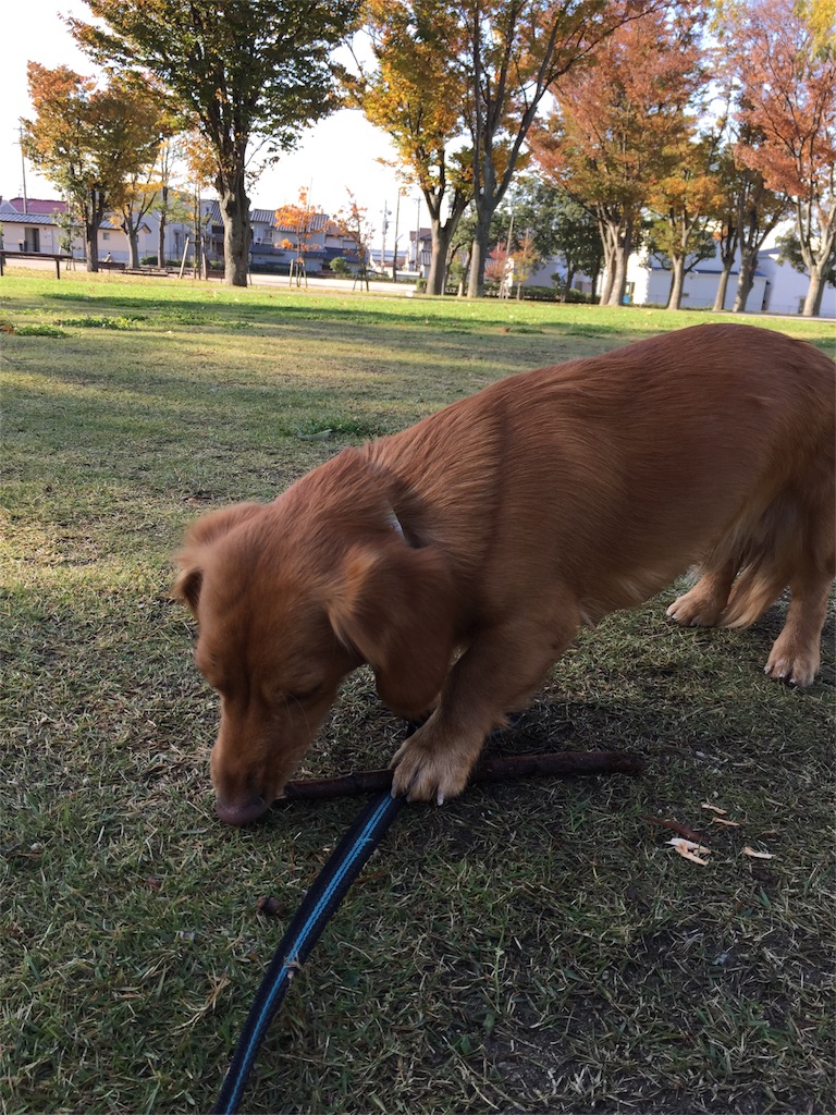 f:id:Lien0927:20171117120931j:image f:id:Lien0927:20171117120931j:image