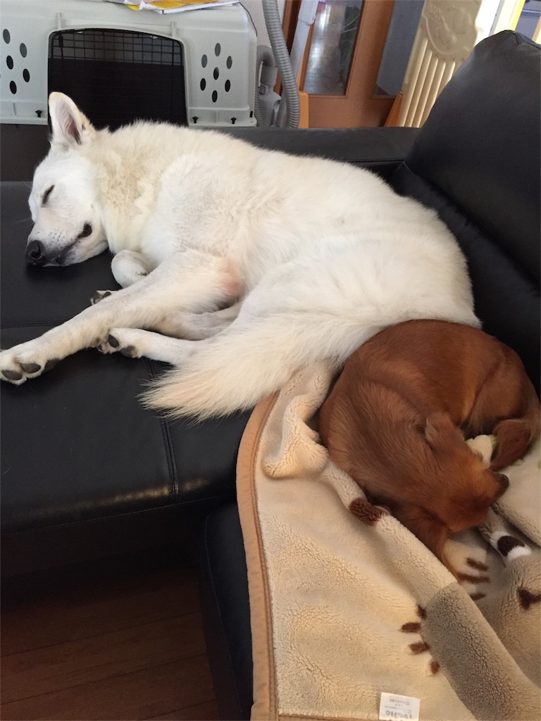 f:id:Lien0927:20171117121214j:image f:id:Lien0927:20171117121214j:image