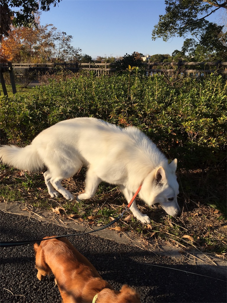 f:id:Lien0927:20171202183549j:image f:id:Lien0927:20171202183549j:image