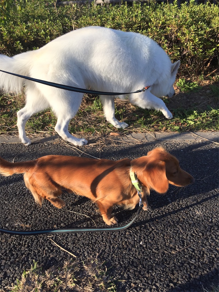 f:id:Lien0927:20171202183555j:image f:id:Lien0927:20171202183555j:image