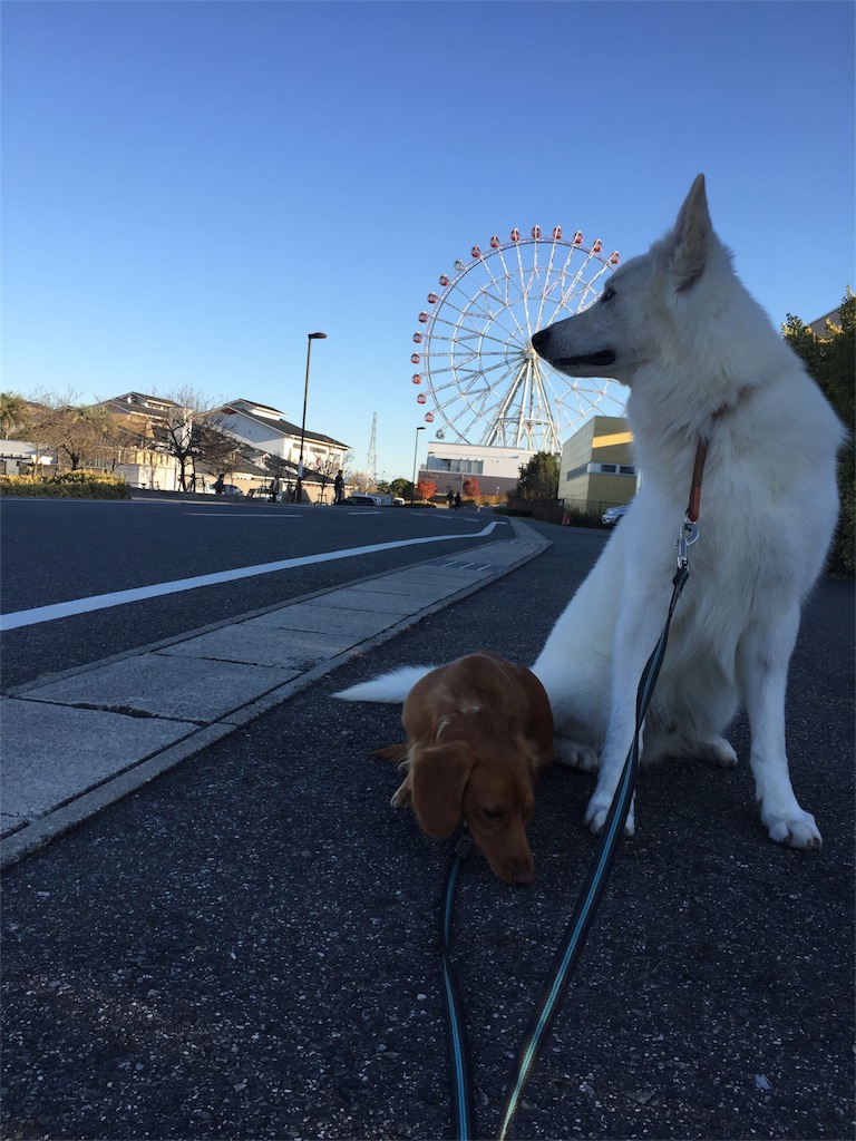 f:id:Lien0927:20171202183842j:image f:id:Lien0927:20171202183842j:image