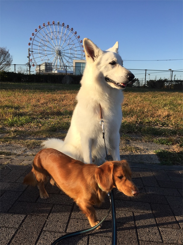 f:id:Lien0927:20171202184059j:image f:id:Lien0927:20171202184059j:image