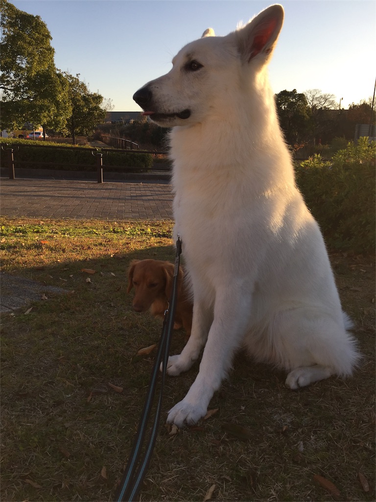 f:id:Lien0927:20171202190633j:image f:id:Lien0927:20171202190633j:image